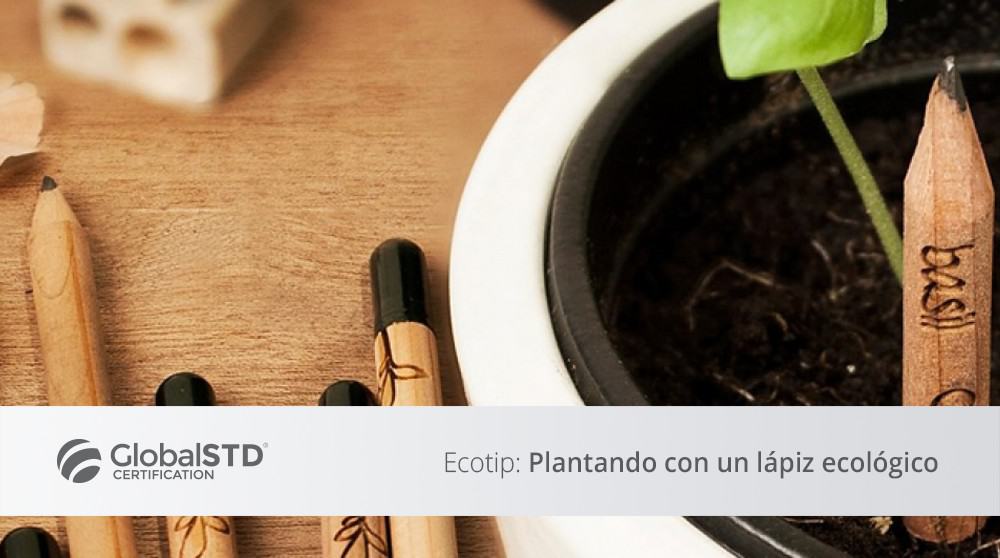 blog global std