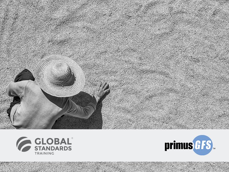 curso global std
