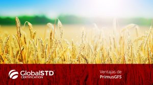 Ventajas de Primusgfs