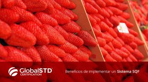 Beneficios de implementar SQF