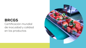 curso