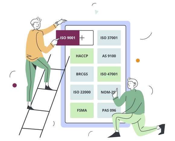 imagen global standards